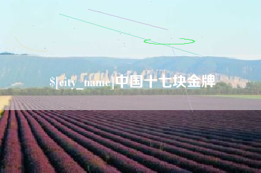哈尔滨中国十七块金牌