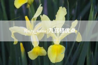 哈尔滨九宫格优点
