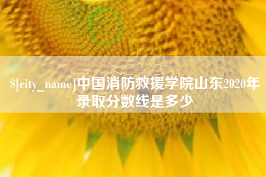 哈尔滨中国消防救援学院山东2020年录取分数线是多少