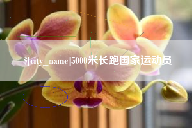 哈尔滨5000米长跑国家运动员