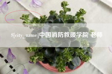 哈尔滨中国消防救援学院 老师
