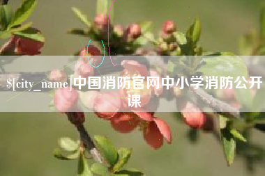 哈尔滨中国消防官网中小学消防公开课