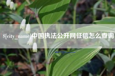 哈尔滨中国执法公开网征信怎么查询