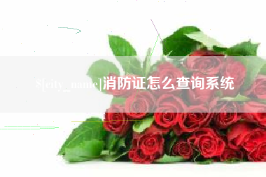 哈尔滨消防证怎么查询系统