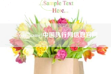 哈尔滨中国执行网信息官网