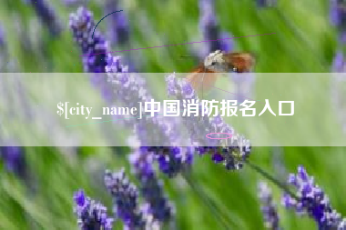 哈尔滨中国消防报名入口