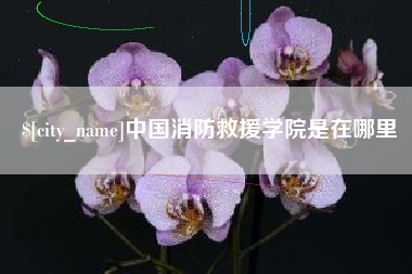 哈尔滨中国消防救援学院是在哪里