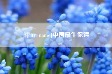 哈尔滨中国最牛保镖