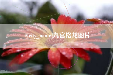 哈尔滨九宫格龙图片