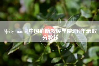 哈尔滨中国消防救援学院2019年录取分数线