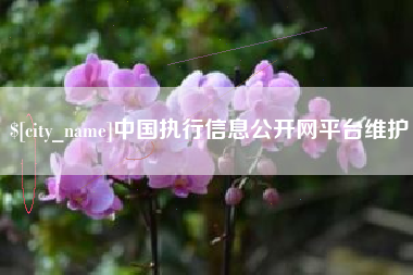 哈尔滨中国执行信息公开网平台维护