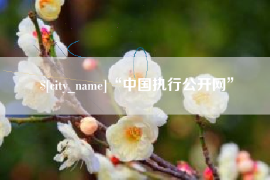 哈尔滨“中国执行公开网”