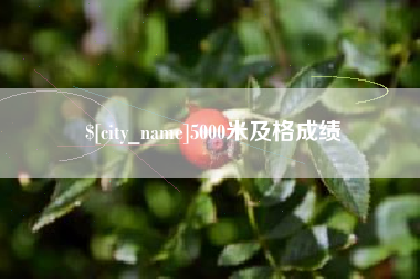 哈尔滨5000米及格成绩