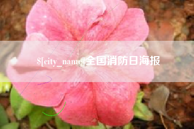 哈尔滨全国消防日海报
