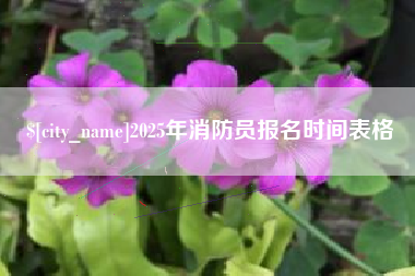 哈尔滨2025年消防员报名时间表格