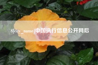 哈尔滨中国执行信息公开网后