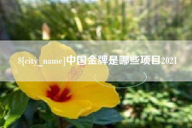 哈尔滨中国金牌是哪些项目2021