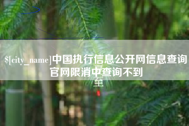 哈尔滨中国执行信息公开网信息查询官网限消中查询不到