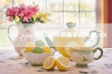哈尔滨中国消防救援学院分数2020