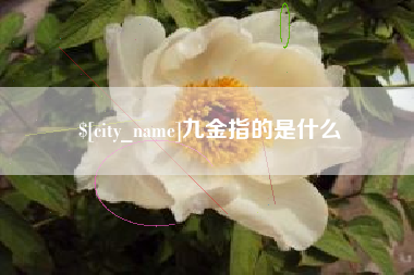 哈尔滨九金指的是什么