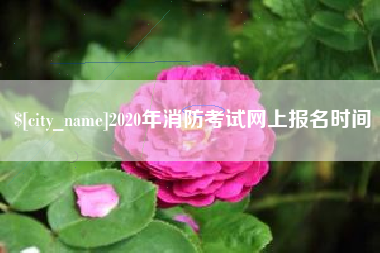 哈尔滨2020年消防考试网上报名时间