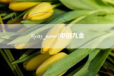 哈尔滨中国九金