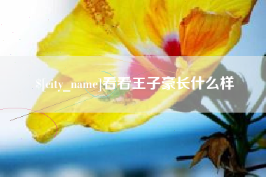 哈尔滨看看王子豪长什么样