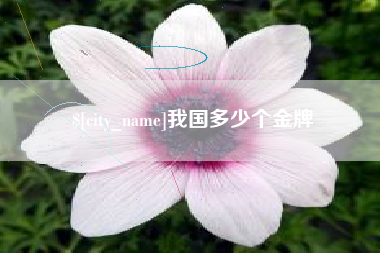 哈尔滨我国多少个金牌