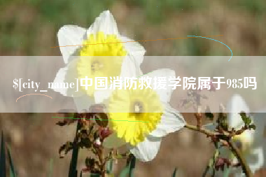哈尔滨中国消防救援学院属于985吗