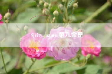 哈尔滨第九金是