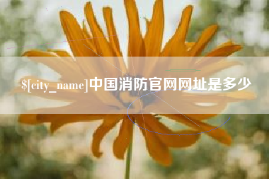 哈尔滨中国消防官网网址是多少