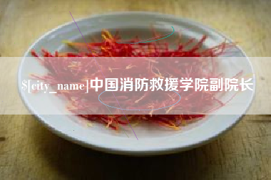 哈尔滨中国消防救援学院副院长