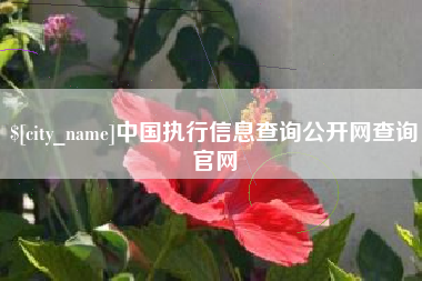 哈尔滨中国执行信息查询公开网查询官网