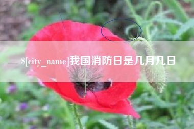 哈尔滨我国消防日是几月几日