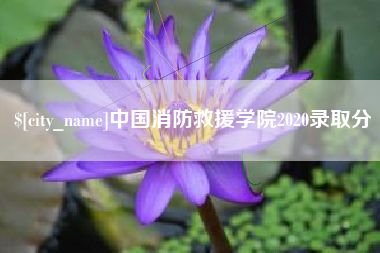 哈尔滨中国消防救援学院2020录取分