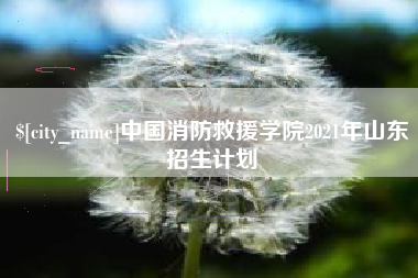 哈尔滨中国消防救援学院2021年山东招生计划