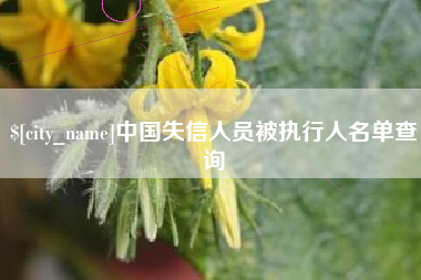 哈尔滨中国失信人员被执行人名单查询