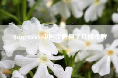哈尔滨中国金牌得了几枚金牌
