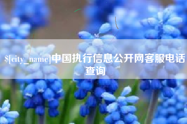 哈尔滨中国执行信息公开网客服电话查询