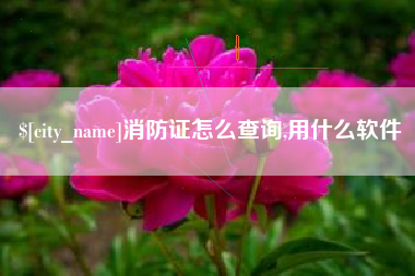 哈尔滨消防证怎么查询,用什么软件