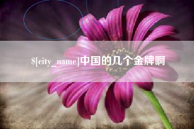哈尔滨中国的几个金牌啊