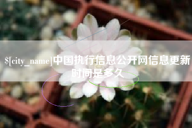 哈尔滨中国执行信息公开网信息更新时间是多久