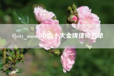 哈尔滨中国十大金牌律师名单