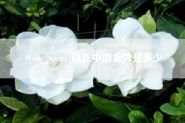 哈尔滨现在中国金牌是多少