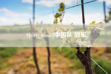 哈尔滨中国队 冠军