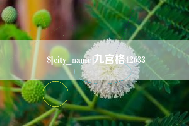 哈尔滨九宫格42633