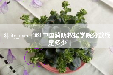哈尔滨2021中国消防救援学院分数线是多少