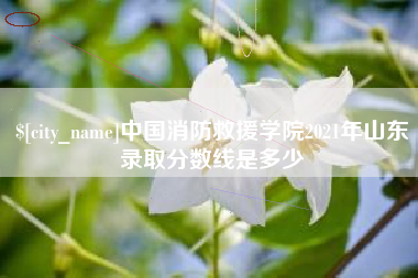 哈尔滨中国消防救援学院2021年山东录取分数线是多少
