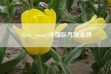 哈尔滨中国队九块金牌