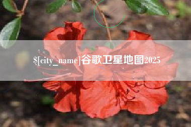 哈尔滨谷歌卫星地图2025